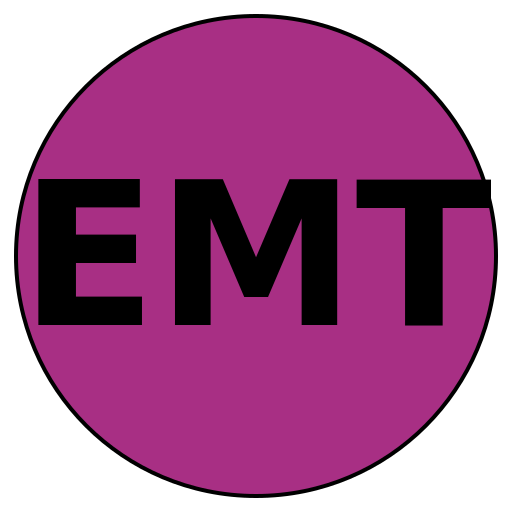 Elite Mentored Travel